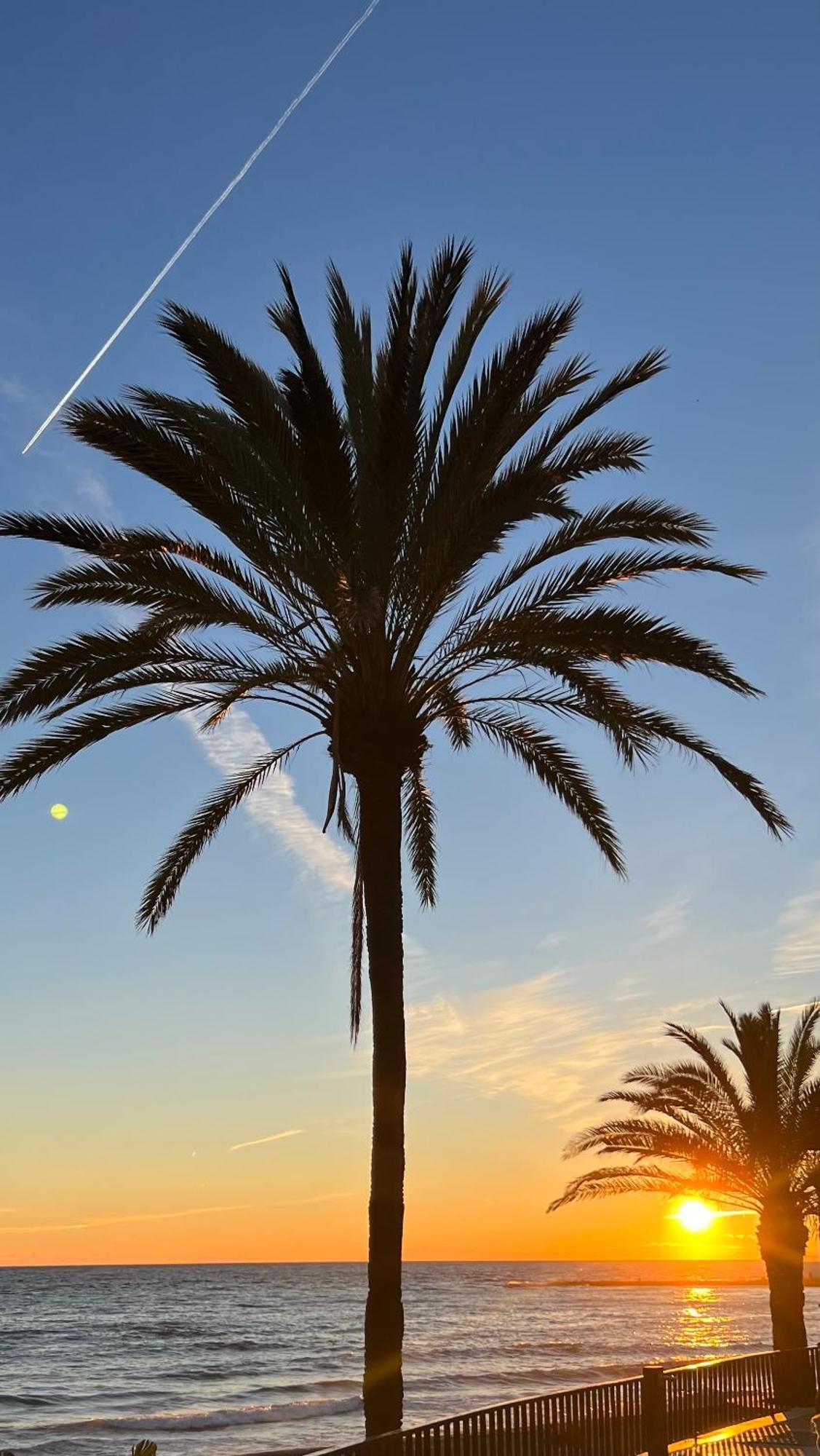 Apartamento Al Parque Marbella, Cerca De Mar Y Centro De Marbella Exterior foto