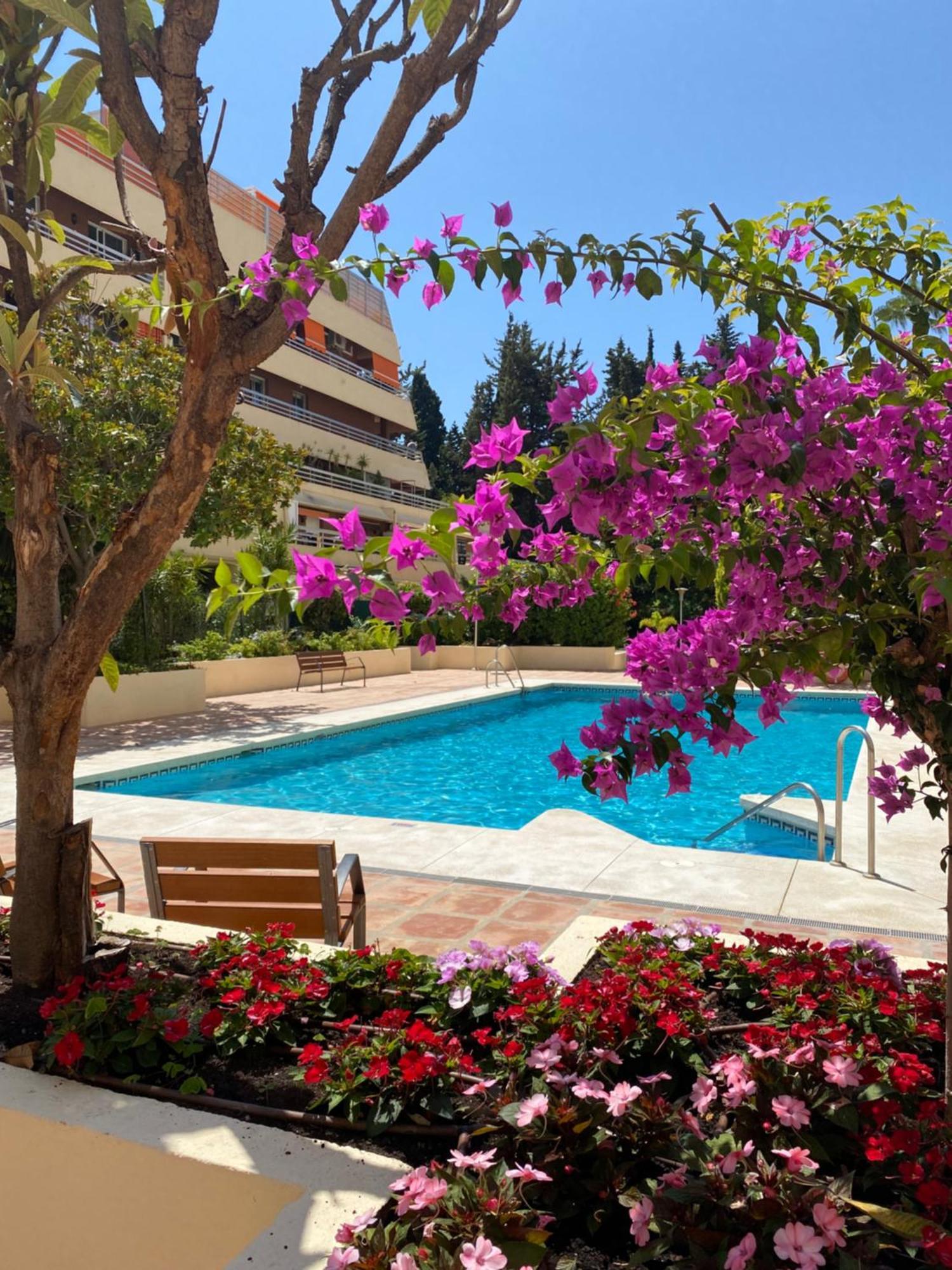 Apartamento Al Parque Marbella, Cerca De Mar Y Centro De Marbella Exterior foto